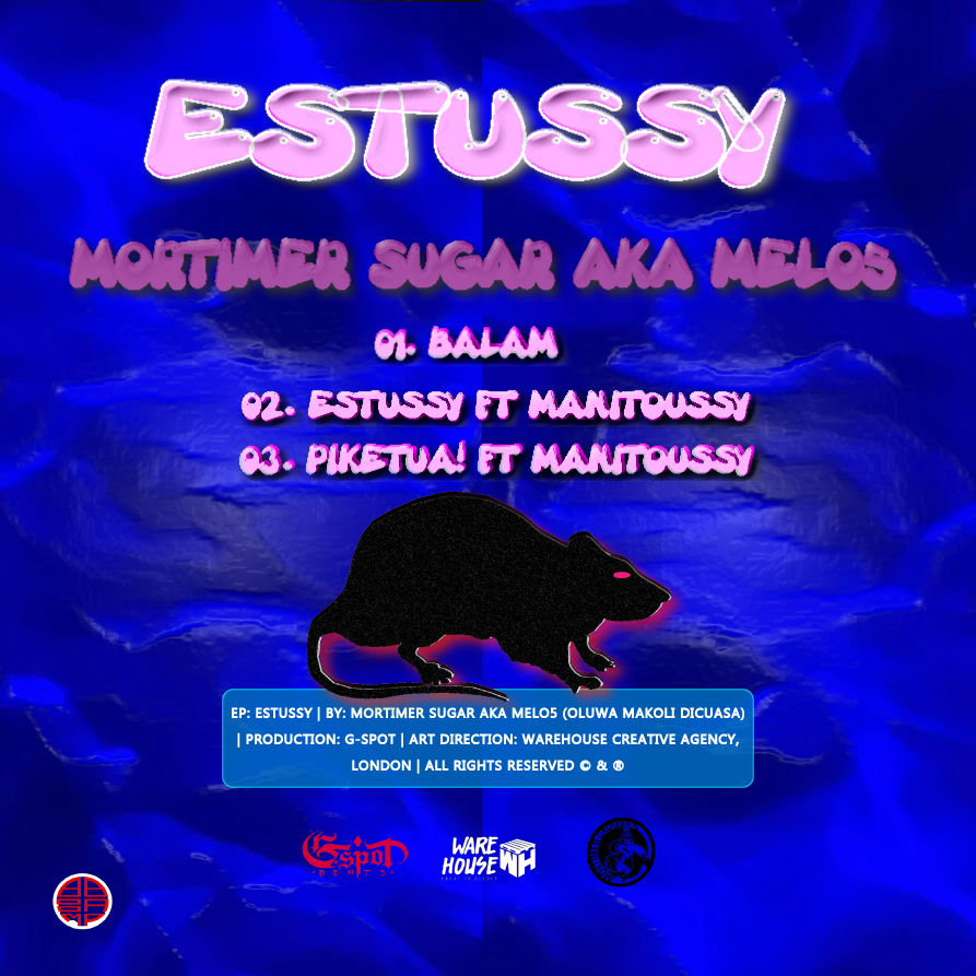 WHCYPR.AGENCY Design - Estussy Artwork (Side B)