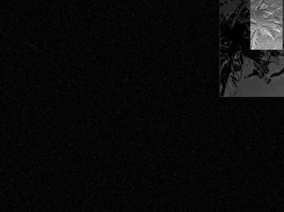 WHCYPR.AGENCY Palm Tree Logo (Cropped)